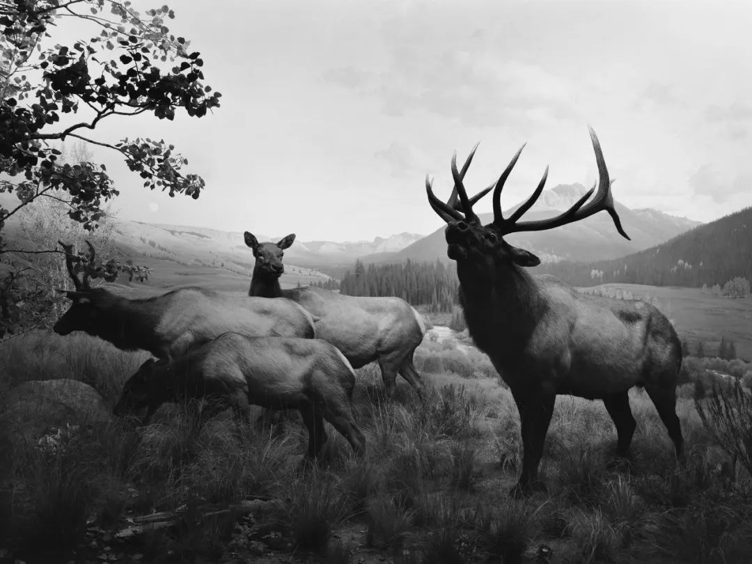 杉本博司 与 马远 | 一眼千年:回到最初的时间