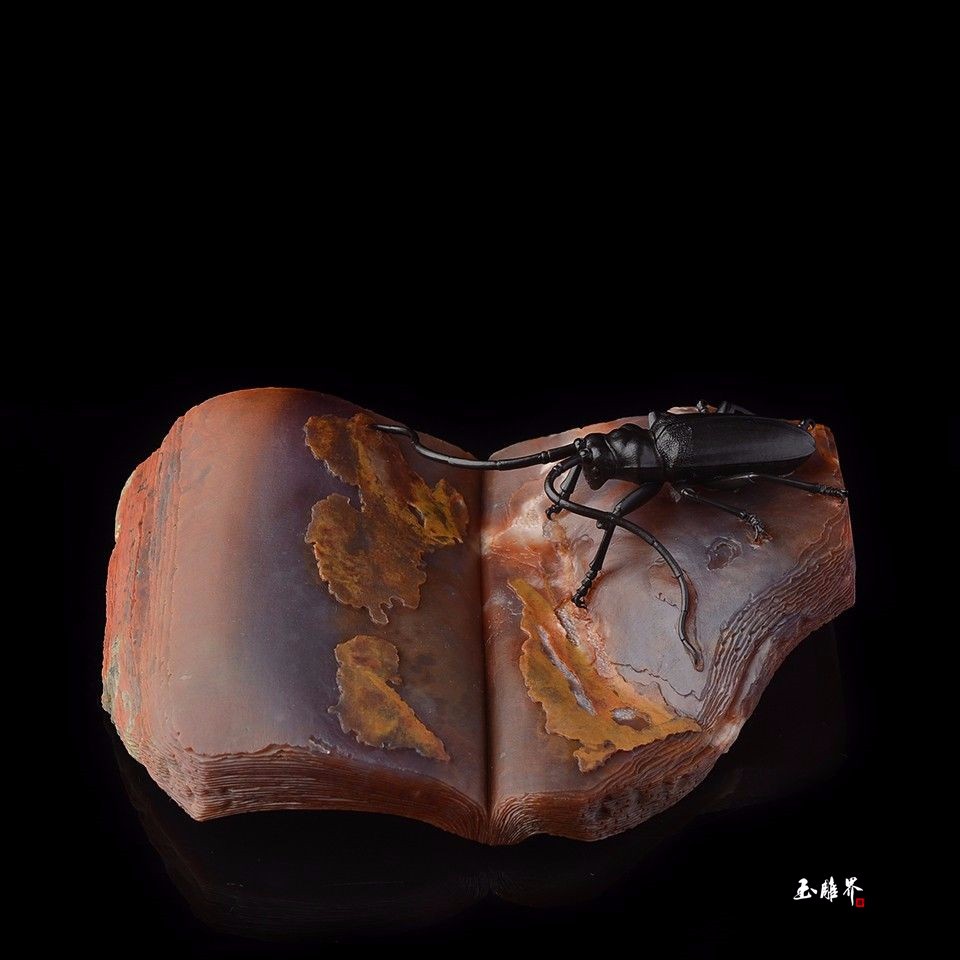 玛瑙被他玩得有内裤,看一眼就有代入感的火现场档视频情趣夜情趣走秀开图片