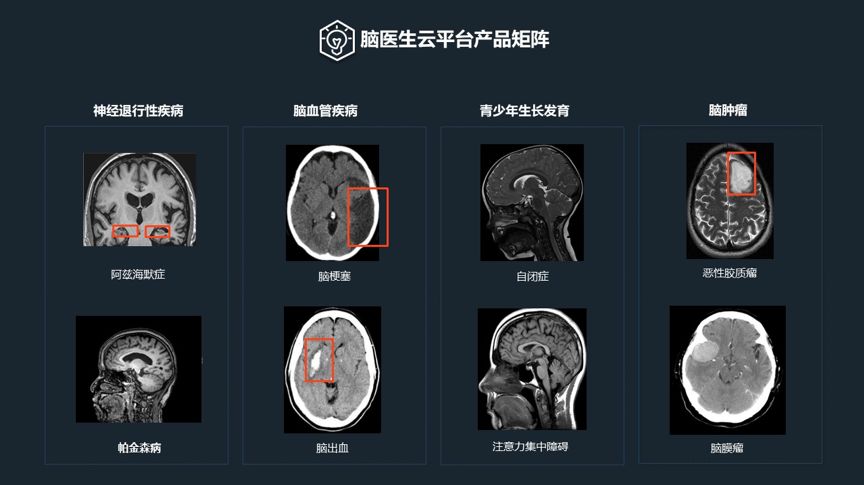 脑医生dr.