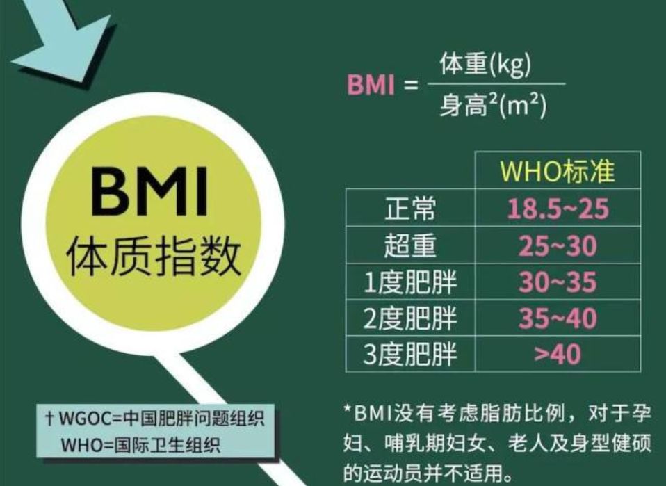 人口老龄化国情教育_人口老龄化国情手抄报(3)