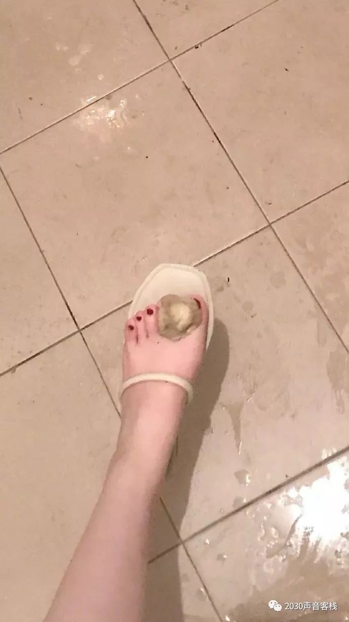 【开心杂货铺0706】我马上到了,你找一个显眼