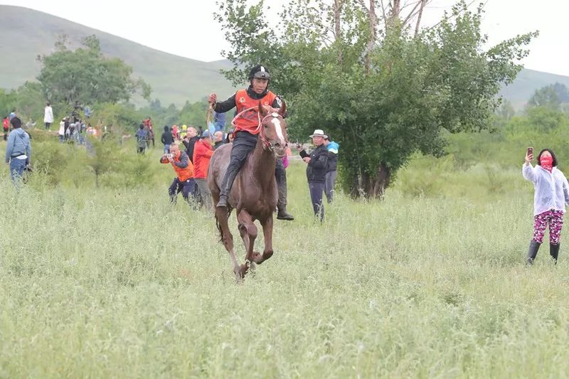 如何翻身上马 9259bb6b8ca94a06845ab9aa0e28f7da.jpeg