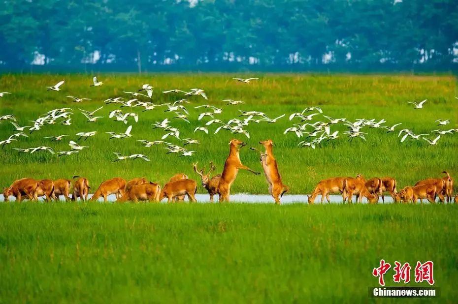 「黃渤」申遺成功！你的「影帝」在這裡，長這樣 旅遊 第10張