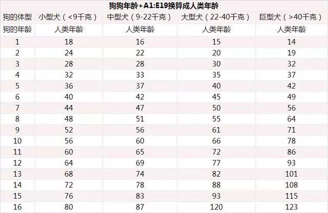 辟谣狗狗1岁等于人7岁汪星人的年龄其实和体型也有关系