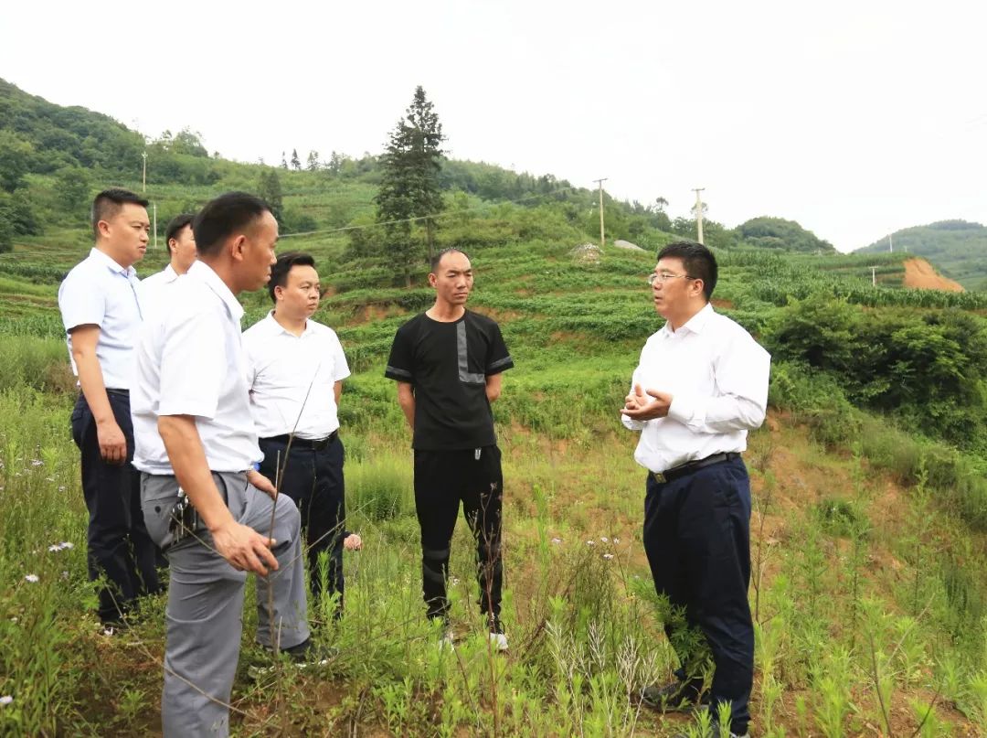 胡敬斌了解地灾隐患点防治情况