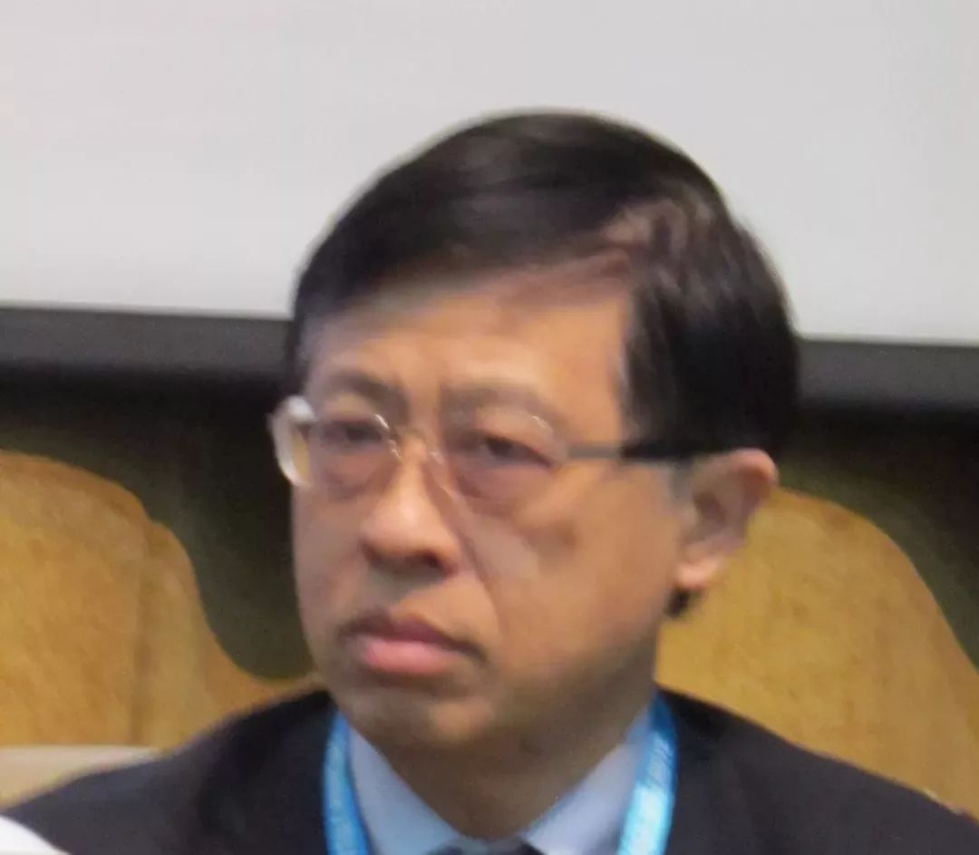 中国台湾染颜料公会理事长邱茂林致辞 主题报告 史献平 中国染料工业