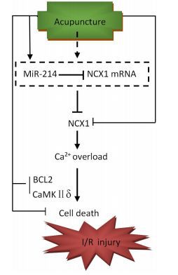 ac154ed3c31347ff9daf5bf09b75b59d.jpeg