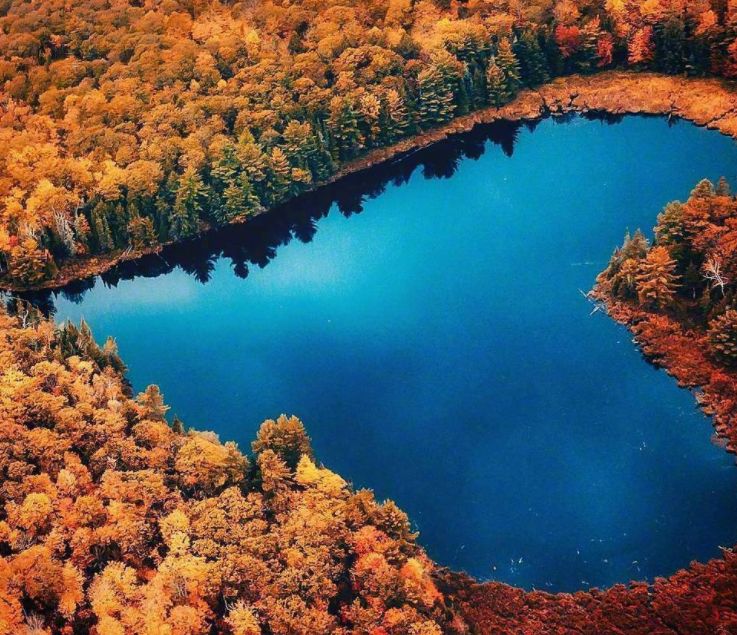 真正的爱是一场灵魂的遇见