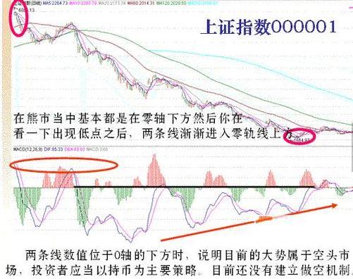 褥疮贴的原理_暖身贴的原理是什么(3)