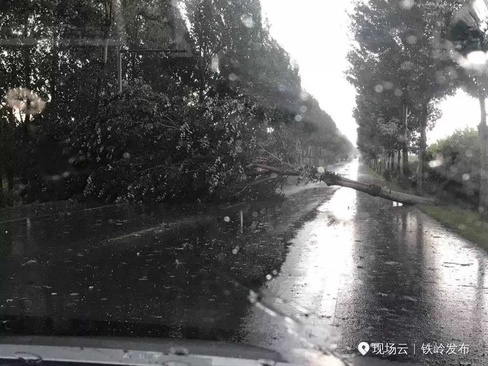 开原中国人口_开原清河区虹姐
