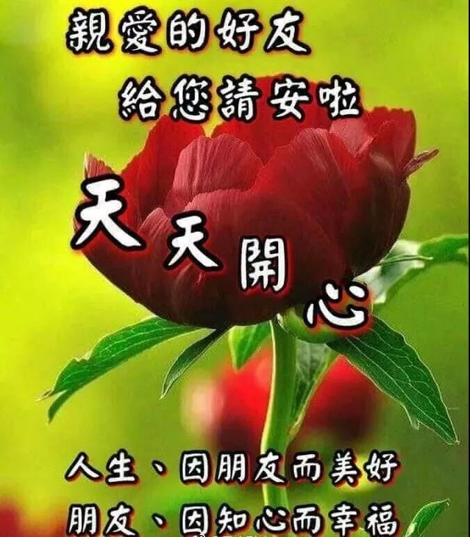 bdae5bf7731347179a9809cb9d458a4c.jpeg