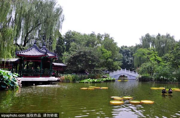 南城多少人口_台湾有多少人口(3)