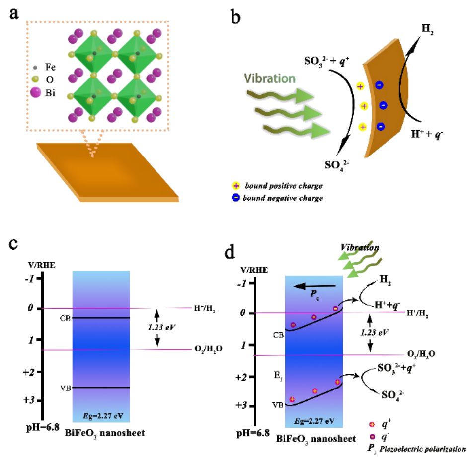 铁酸铋压电催化产氢:突破导带位置之局限