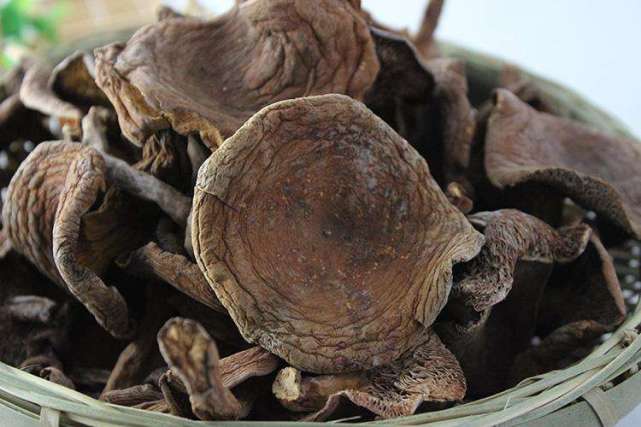 蘑菇为什么一股味 d110d891bd974227829a35cb4d25c359.jpeg