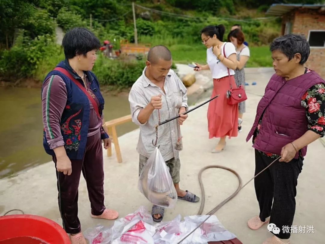 【聚焦经开区】残疾贫困户脱贫路上迈大步——金家镇龙怀村残疾人贫困户王益平通过小产业稳步增收 一本道旡码在线费费观