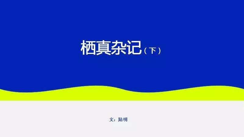 d349deae29054daf8c1fe51a65ba599e.jpeg