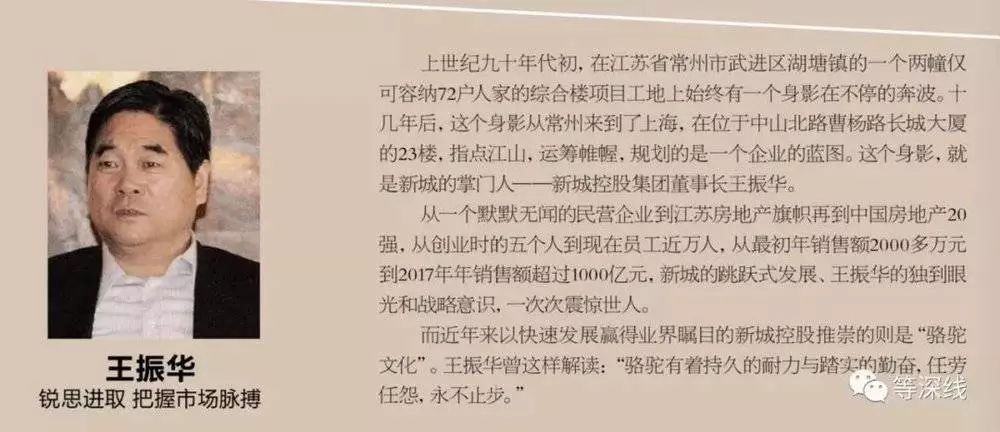 王振华曾入选"房地产40年40个风云人物"榜,图为宣传册中其简介页