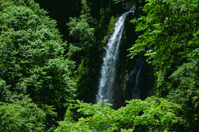 挂在悬崖森林中瀑布群带来丝丝清凉