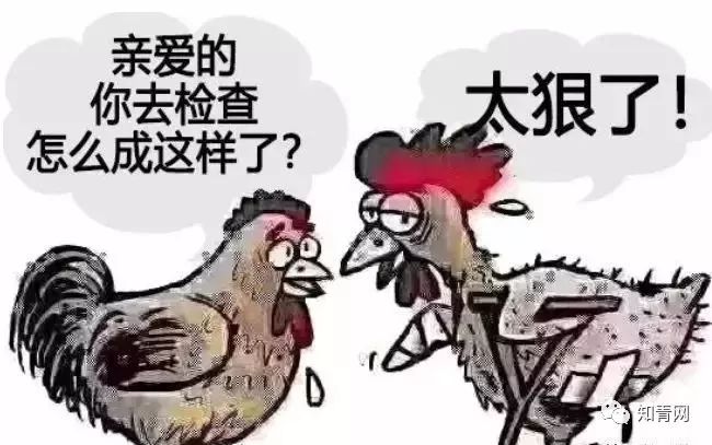 很多退休老同学看到这里才彻底醒悟!都说到了点子上! sbf111胜博发网站