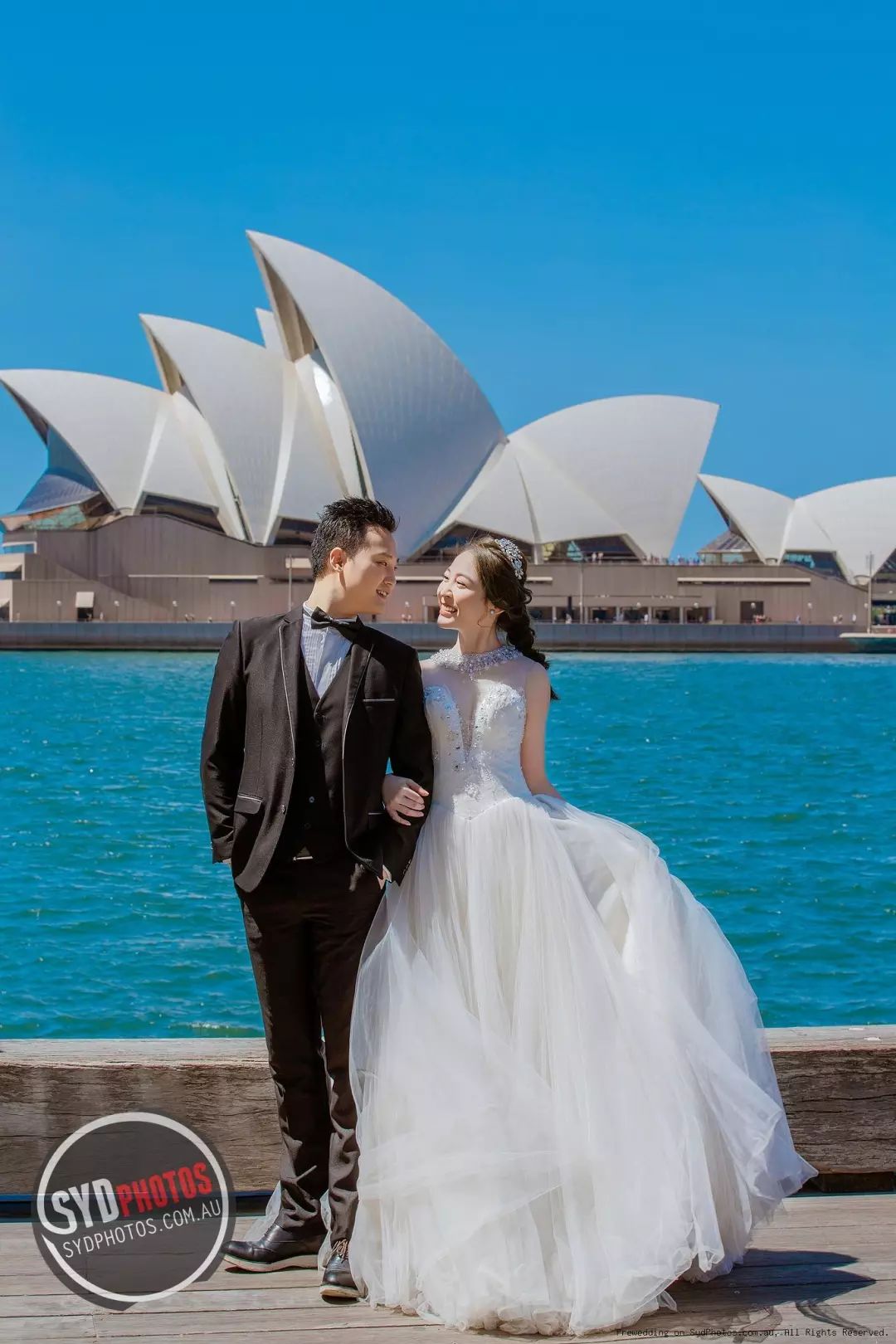 何献君奚梦瑶领证结婚!撒狗粮除了深情告白还