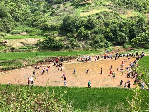 五彩稻田骑马捉鱼西山区团结乡藏着个网红村