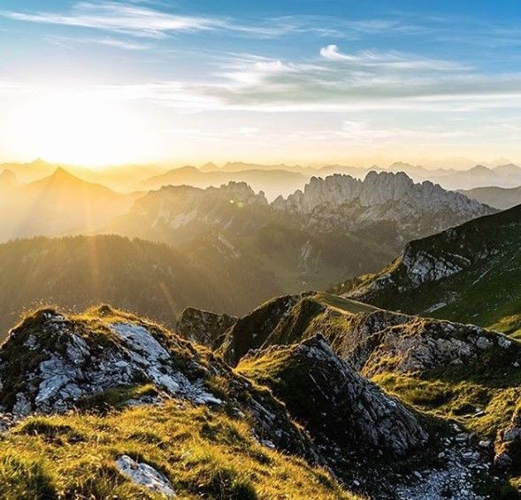 遵从自己的内心,坚持自己的选择。