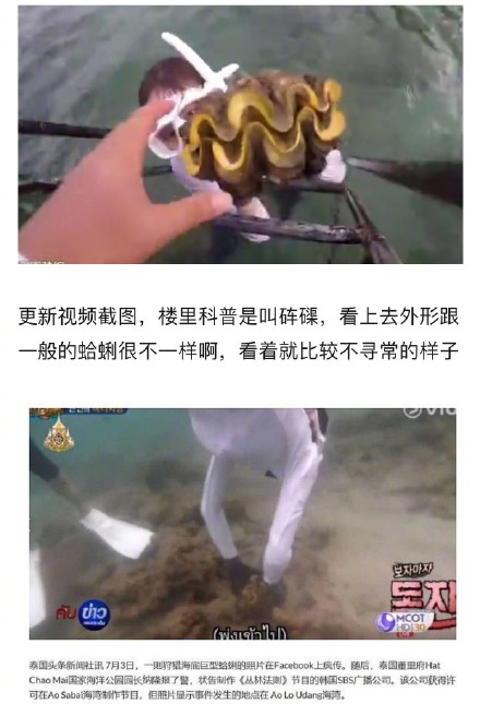 1/ 7 李烈音因在《丛林的法则》录制中捕捉了泰国保护动物巨型蛤蜊