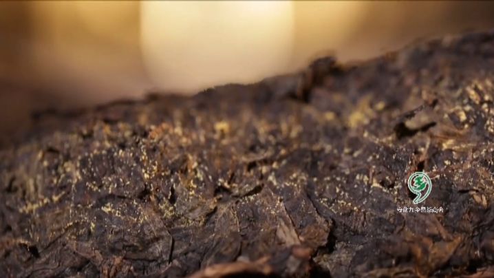 什么是黑茶文化视频 01fa420e2a9243bcbb4d49515061f4fc.jpeg