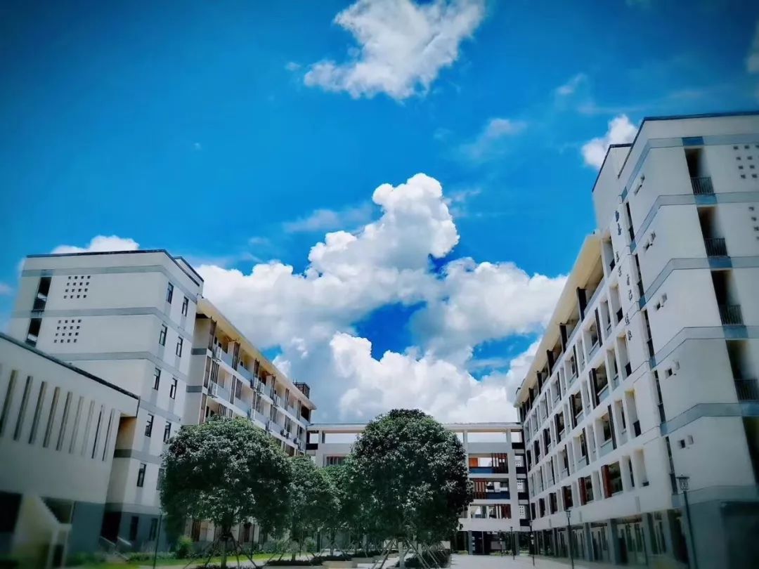 2020柳州高三一模排名_广西2020年高三毕业班4月模拟试题答案(2020柳州三模