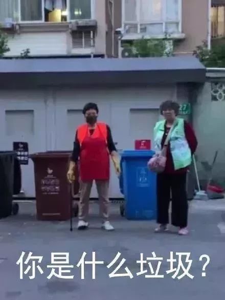 垃圾人口吧_人口普查