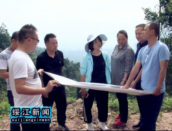 【绥江新闻】本周要闻速览