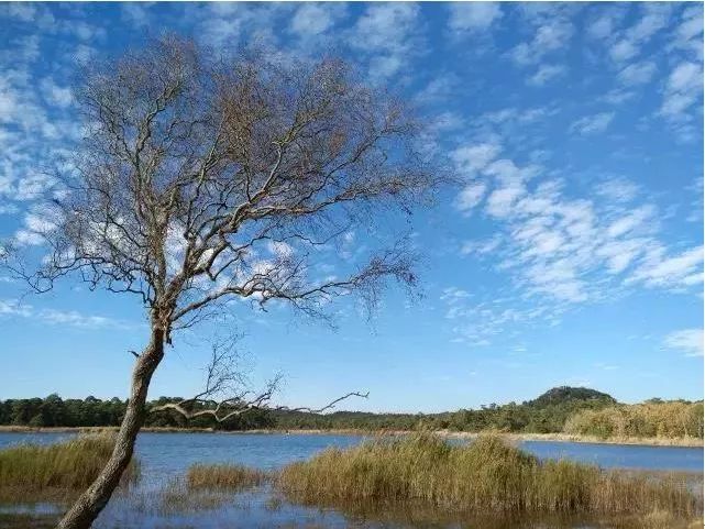 假如你爱上了两个人,选择第二个