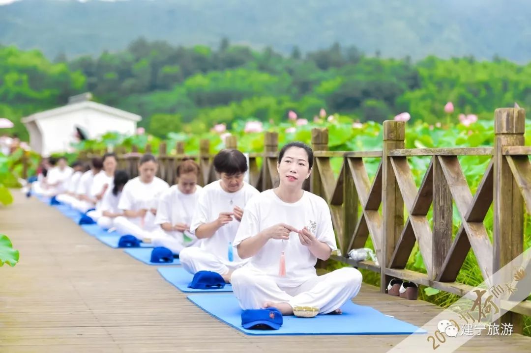 抖音网红歌