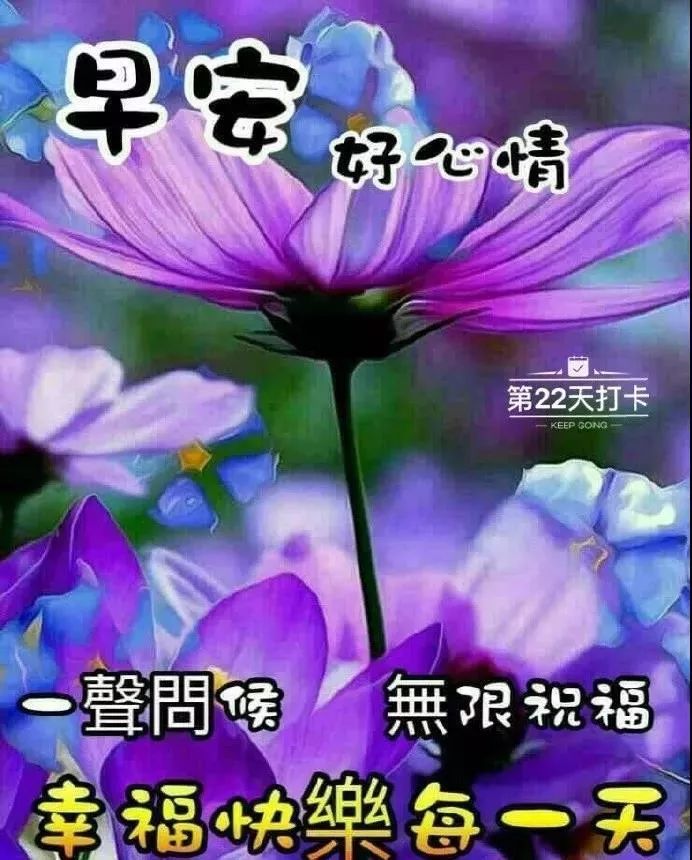 °ϺףʺͼƬ,ůĵϺö̬ͼƬ