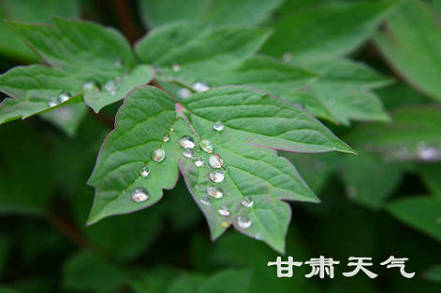 夏雨送凉,6日下午至9日甘肃自西向东有明显降水