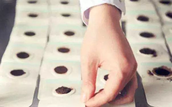 三伏天贴哪些穴位图片 2239fc75f87b468cb2309f50c4d36004.jpeg