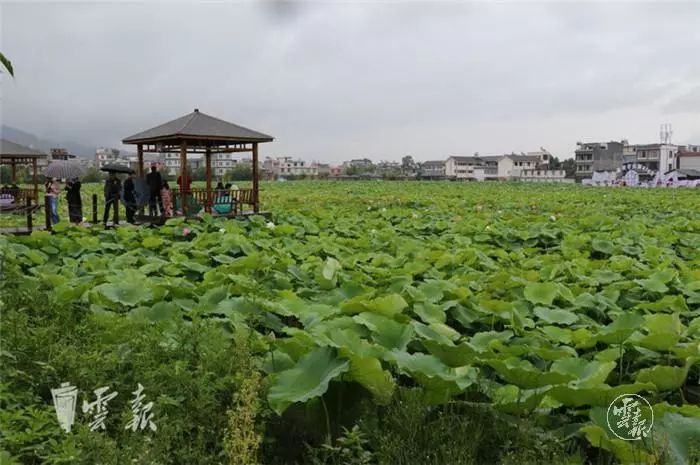 云南省昭阳区永丰镇多少人口_昭阳区白闸镇