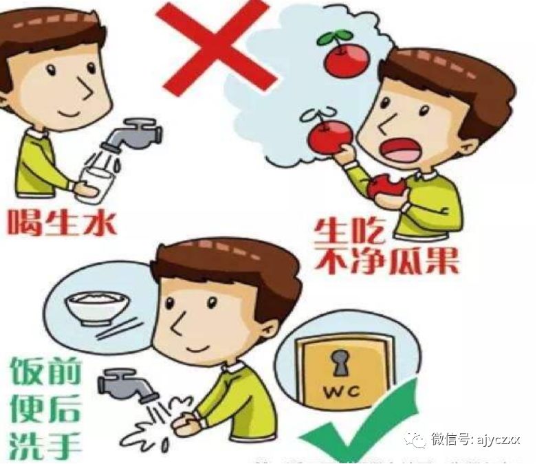 细菌性痢疾