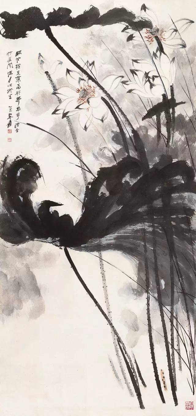 张大千的水墨荷花_搜狐网