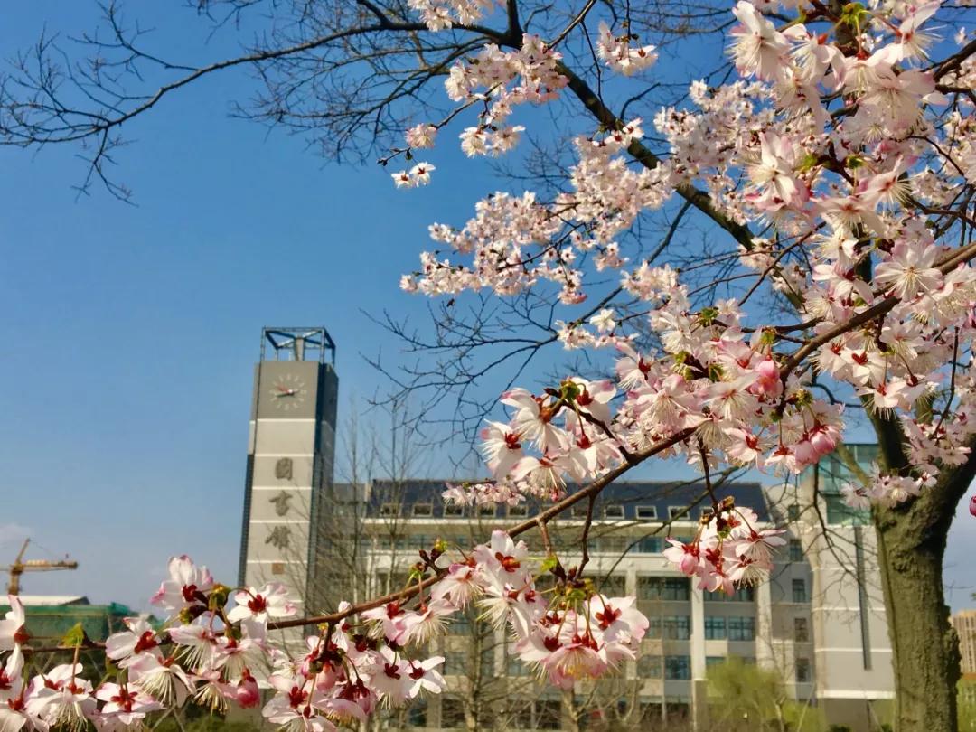 【江苏考生必看】南京晓庄学院介绍