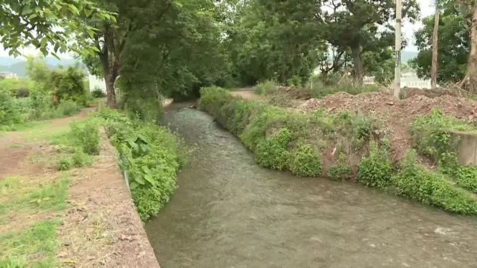 巍山县永建镇人口数据_大理巍山永建镇风景