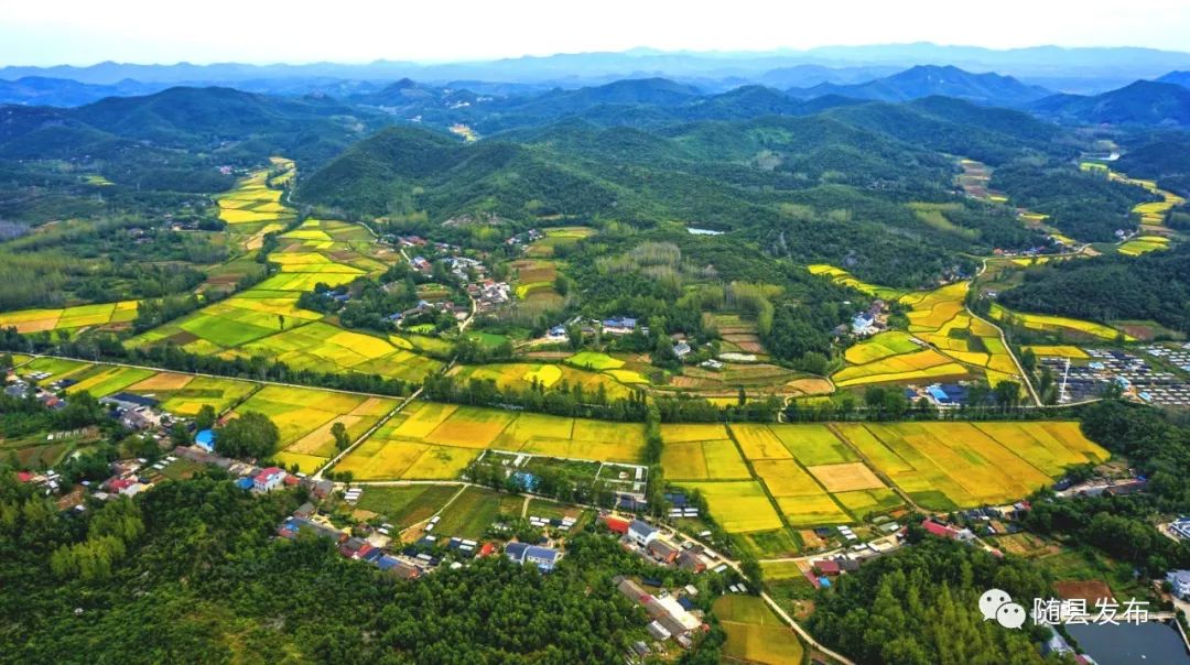 随县洪山镇
