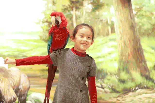 新世界奇趣动物王国2000张门票免费送!手慢无!