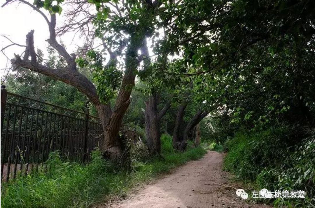 杨家桥乡人口_澧县杨家坊乡中学照片(3)