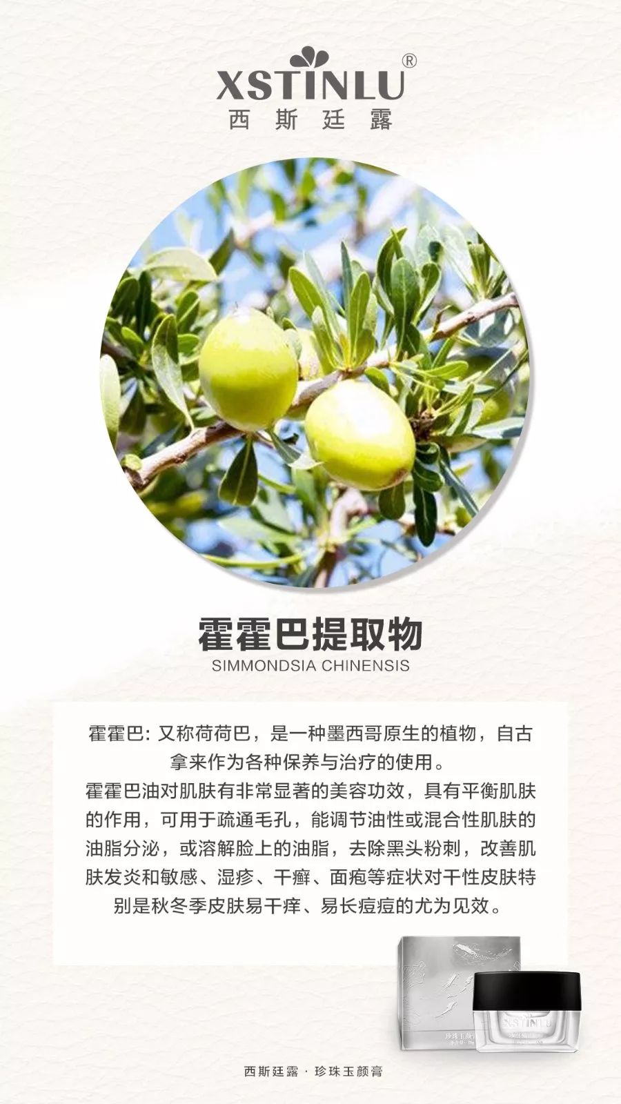 粉红人口_人口普查图片