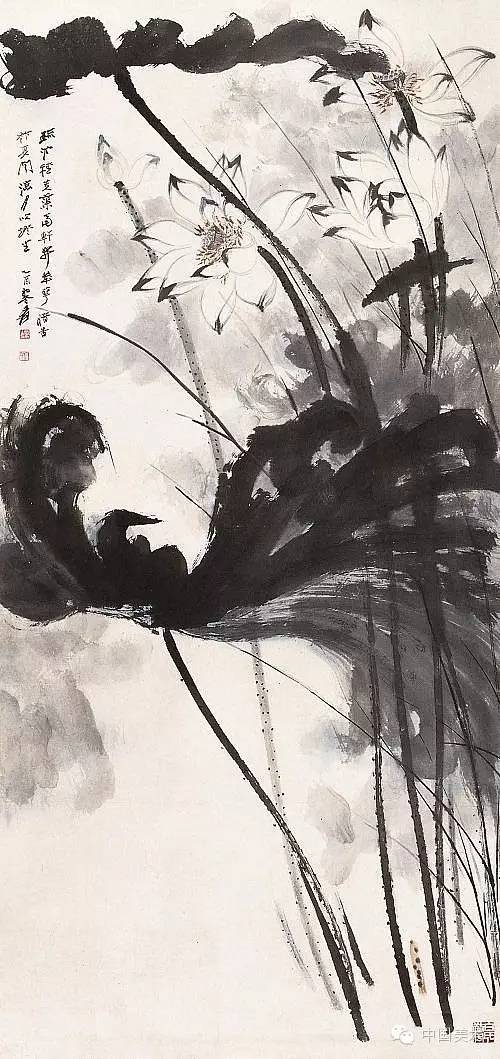 中国古美術 近代 張大千款 荷花白鷺画 水墨画 掛軸 宣紙 唐物 花鳥画 肉筆 张大千的水墨荷花_搜狐网