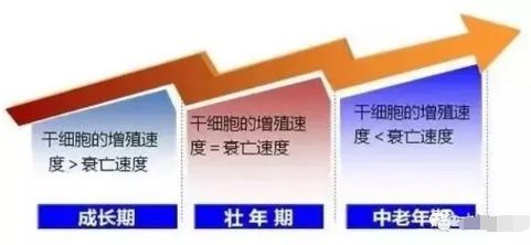 吃什么能增加人体的代谢功能 6cf0105811064632a1f7daff12e17dbc.jpeg