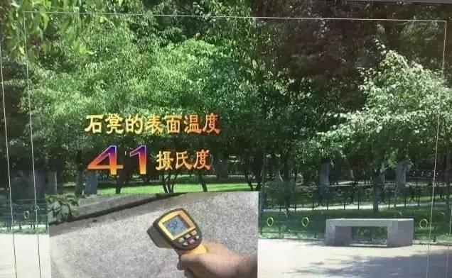                     男童碰到它后手烫掉层皮！这些夏季常见的“街头凶手”一定要远离