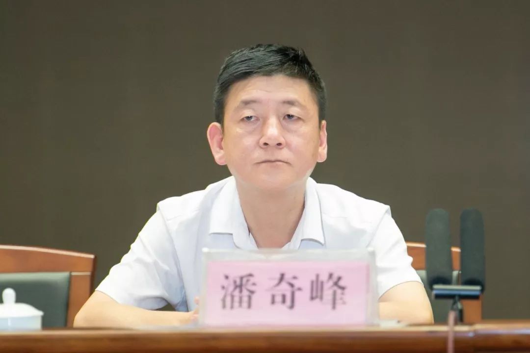 县委副书记潘奇峰宣读了《关于深化"大排查,大整改,大提升"活动,建立"