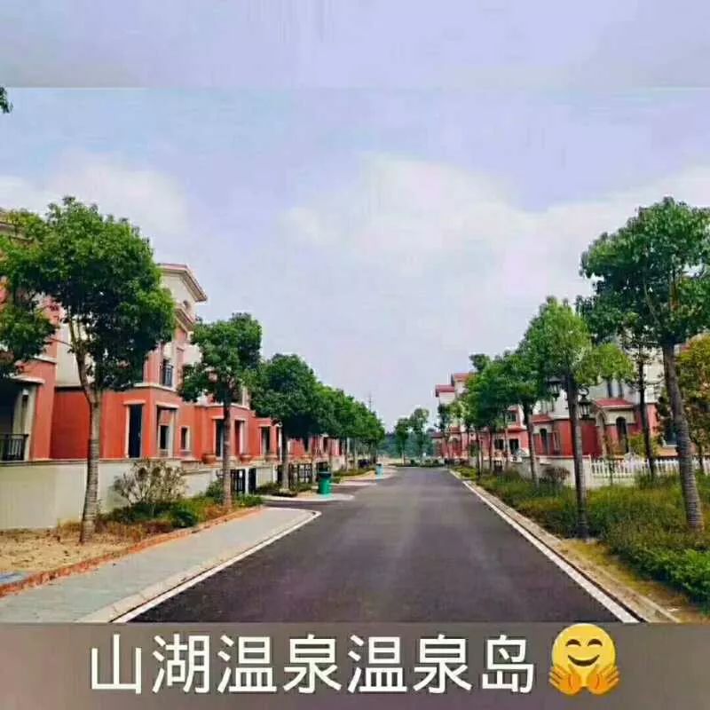 流连忘返,温泉岛现有少量别墅跳